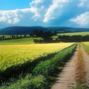 Meet your Posher, Darius